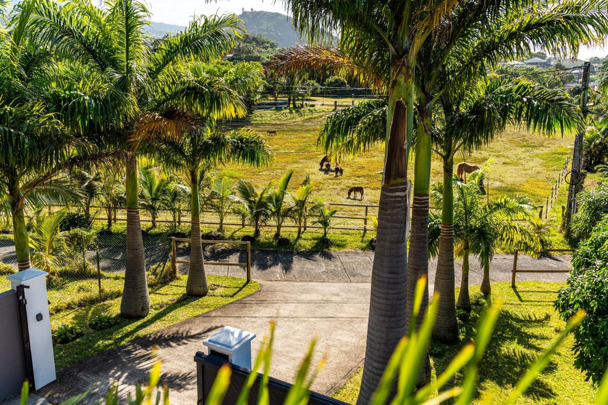 Villa Avec Piscine Vue Mer Et Montagne, En Pleine Nature Saint-Joseph Exterior foto